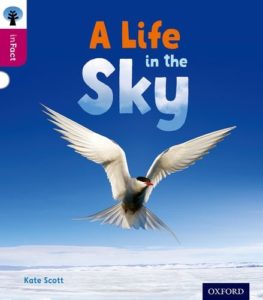 Oxford Reading Tree: Infact: Level 10: A Life in the SKY (Paperback)