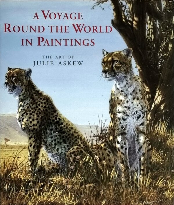 A Voyage Round the World in Paintings - Front Cover