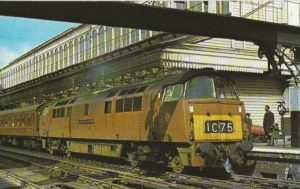 Class 52 Western No D1015 Western Champion in Experimental Golden Ochre Livery at Exeter St Davids (Postcard)