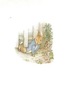 The Tale of Peter Rabbit (Postcard) -Front